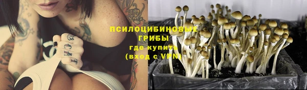 мяу мяу мука Алзамай