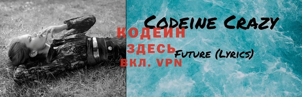 дживик Снежногорск