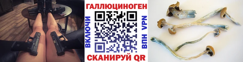 Псилоцибиновые грибы Psilocybine cubensis  Санкт-Петербург 